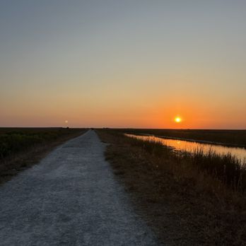 Sawgrass Trailhead at Atlantic Boulevard - Hiking Near Me Sawgrass Trailhead at Atlantic Boulevard - Hiking Near Me