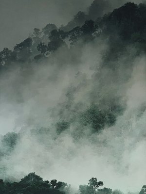 Hôtel William Gray by null