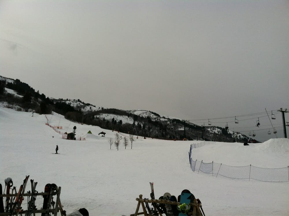 Wolf Mountain Logo