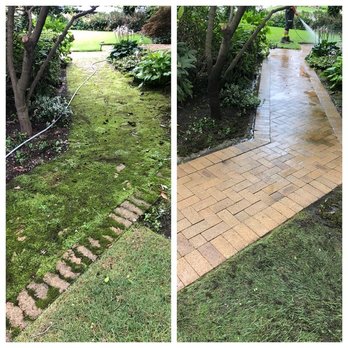 MD Cleaning Solutions - Window Washing Near Me - Whitestone, New York