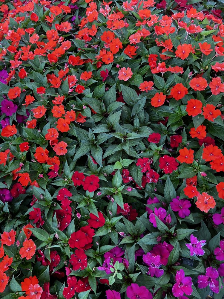 DEVONSHIRE AQUATIC CENTER Updated June 2024 25 Photos 4400