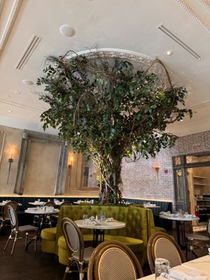 Frida's Mexican Cuisine by null