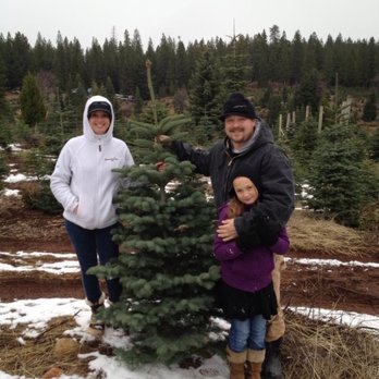 Snowy Peaks Farm - Christmas Trees Near Me - Foresthill, California Snowy Peaks Farm - Christmas Trees Near Me - Foresthill, California