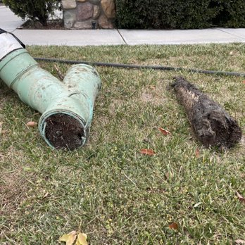 Animal Drain - Got roots intruding your sewer ? we can help - Plumbing Near Me