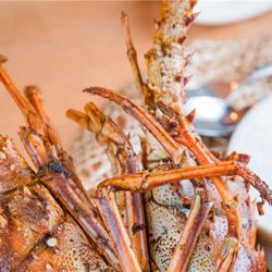 Wyndham Palmas Beach and Golf Resort - Restaurant