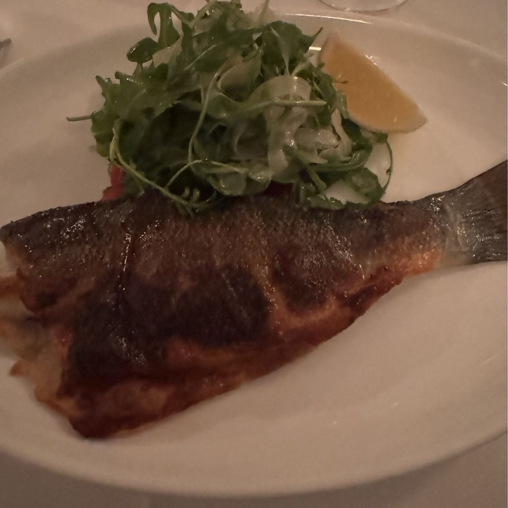 La Sirena Restaurant - Bronzino - Italian Near Me - West Palm Beach, Florida La Sirena Restaurant - Bronzino - Italian Near Me - West Palm Beach, Florida