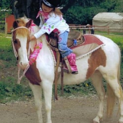 Lang's Horse & Pony Farm