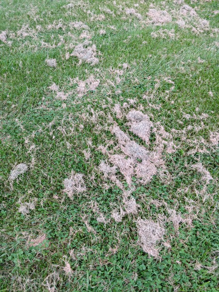 COUNTRY SQUIRE APARTMENTS 8 Kenray Ave, Dover, Pennsylvania