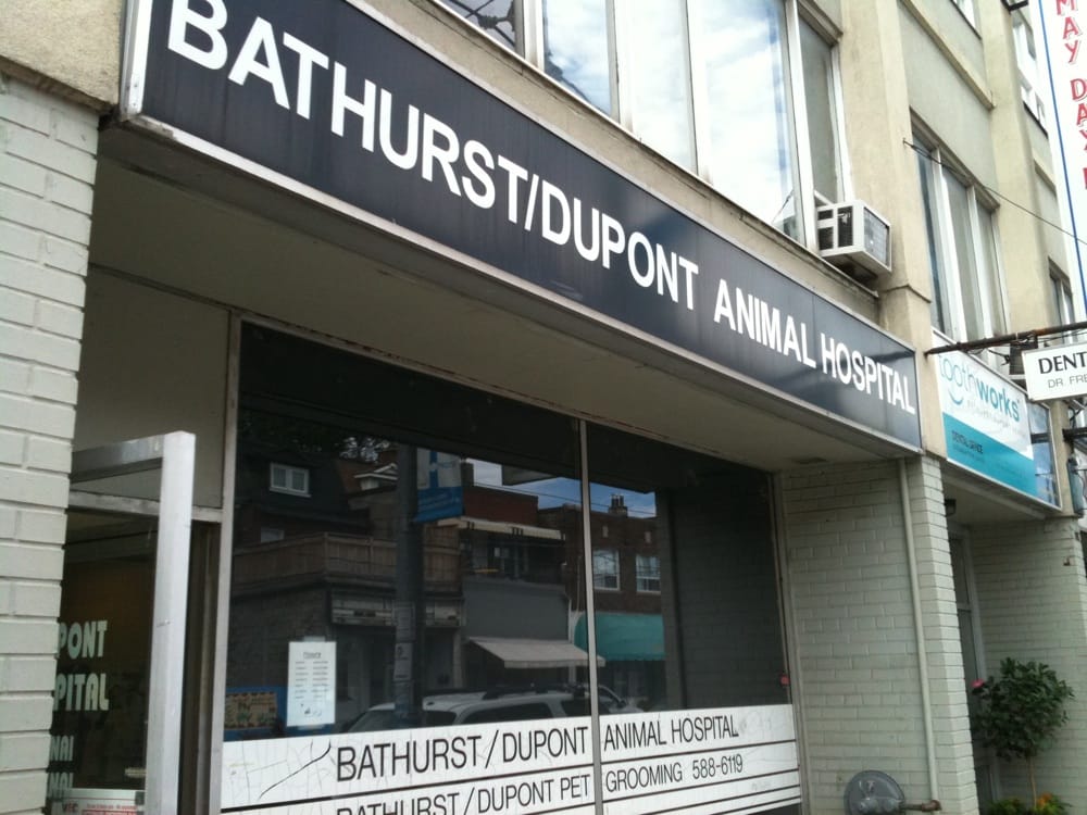 paw perfect nail file