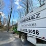 Photo of Rodriguez Tree Services