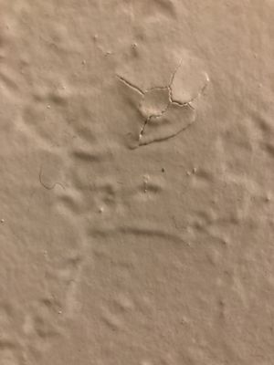 Hotel Carmel by null