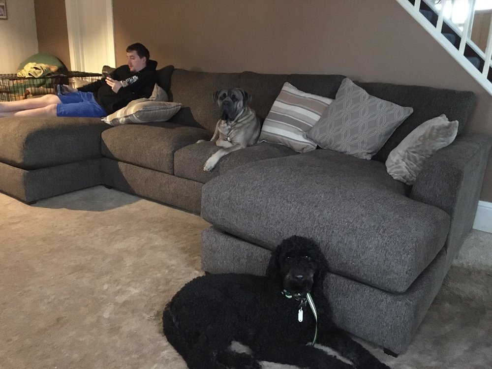 ITHACA WHOLESALE FURNITURE Updated June 2024 1575 Trumansburg Rd