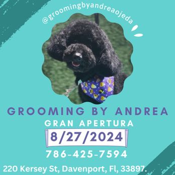 Grooming By Andrea - Pet Groomers Near Me - Davenport, Florida Grooming By Andrea - Pet Groomers Near Me - Davenport, Florida