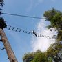 Photo of EcoPark Adventures