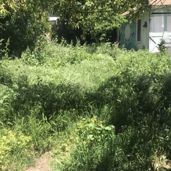 Rios Gardening - Backyard with 6 months of weeds - Gardeners Near Me