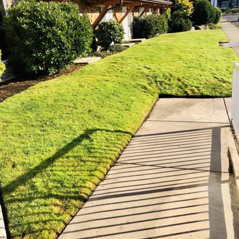 Oxford Suites Silverdale - A place for Fido to do his business. - Hotels Near Me - Silverdale, Washington
