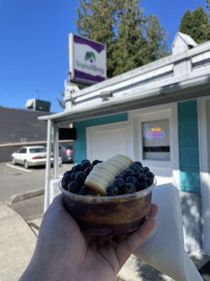 Tropical Berry Kenmore by null