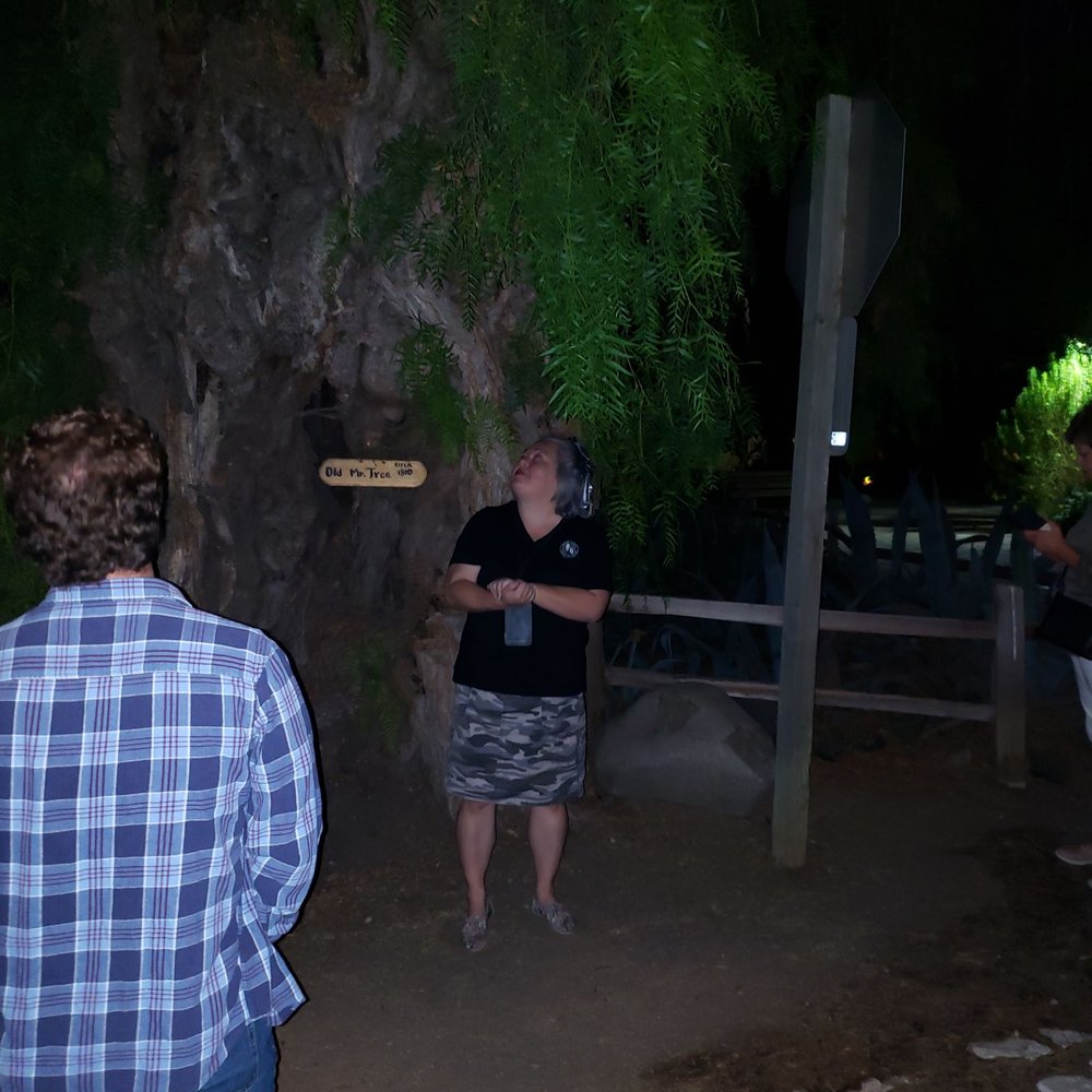 OC Ghosts and Legends - Mika, our "ghost host" showing us the first hanging tree on the tour. - Walking Tours Near Me OC Ghosts and Legends - Mika, our "ghost host" showing us the first hanging tree on the tour. - Walking Tours Near Me