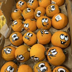 Grocery Outlet - The cutest pumpkins ever! Ready for Halloween