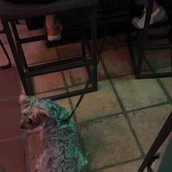 Birra & Empanadas - Stupid dog - Cocktail Bars Near Me - San Juan, Puerto Rico Birra & Empanadas - Stupid dog - Cocktail Bars Near Me - San Juan, Puerto Rico
