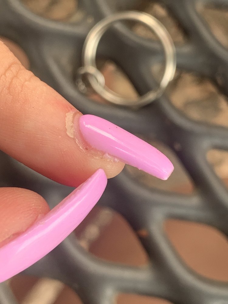 NICE NAIL & SPA 3 239 Photos & 103 Reviews Nail Salons 3206 N