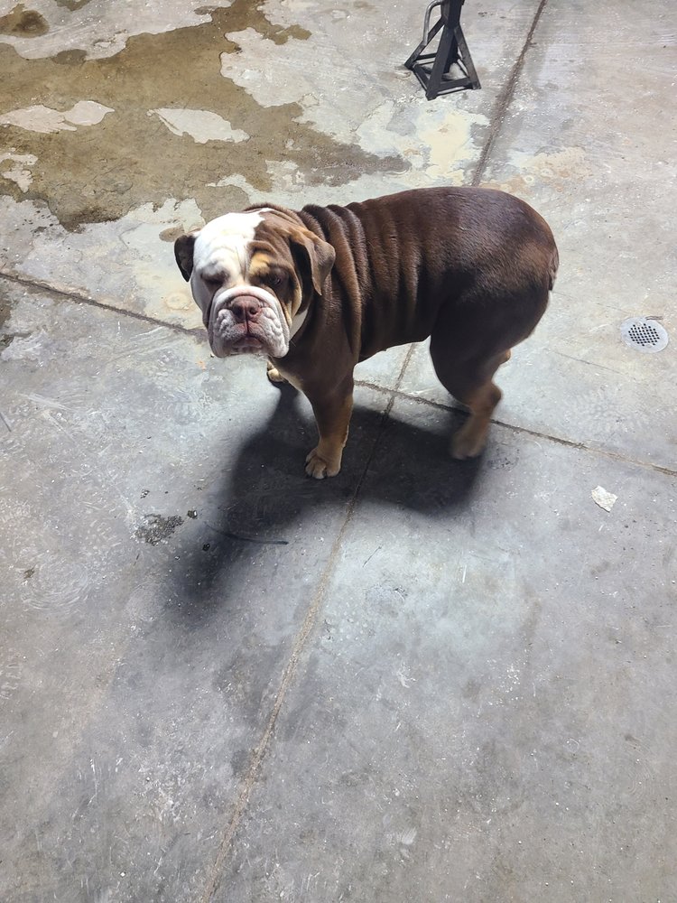 Palafox Auto and Tractor Repair