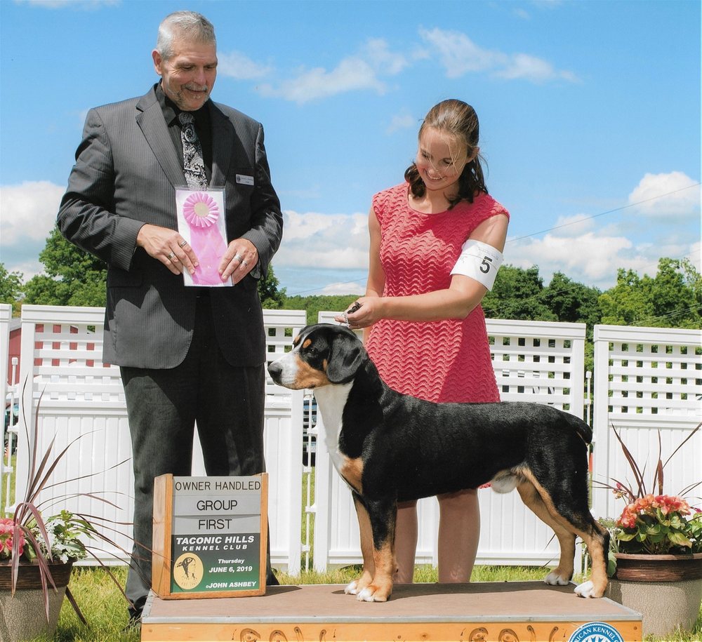 NAGIMOR ENTLEBUCHERS 1426 County Route 28, Valatie, New York Pet Breeders Phone Number Yelp