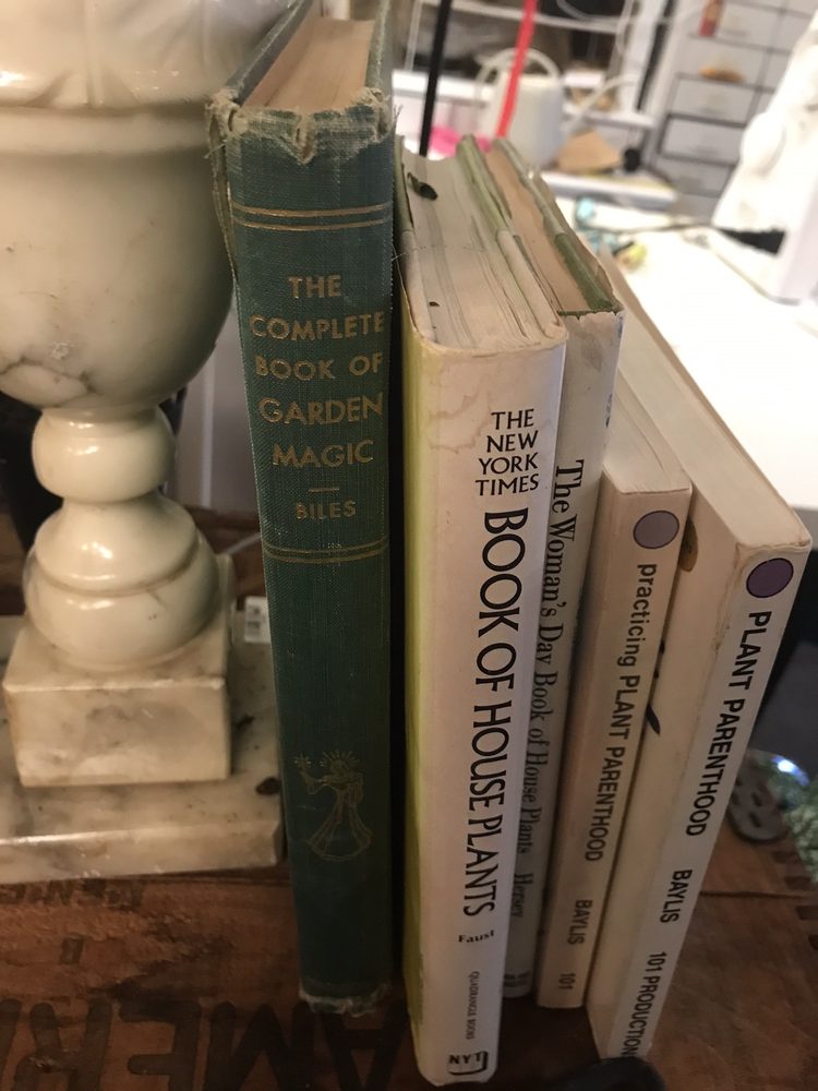 EBM & CIVVIES VINTAGE 64 Photos & 29 Reviews 839 Chapel St, New