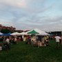 Photo of Elgin Ribfest