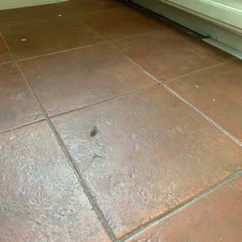Two Maids - "Swept floor" - Home Cleaning Near Me - Tallahassee, Florida Two Maids - "Swept floor" - Home Cleaning Near Me - Tallahassee, Florida
