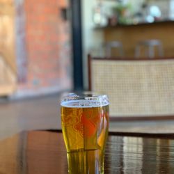 Seventh Son Brewing - Scientist IPA