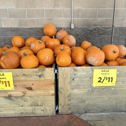 Fry's Food Store - Fall 2025