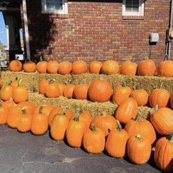 Collinsville Farmers Market - Pumpkins, pumpkins and more pumpkins