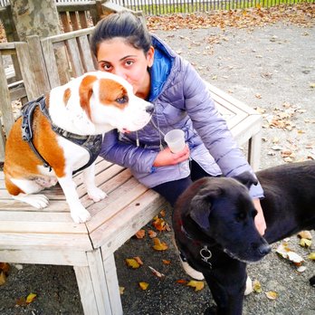Pet Care By Nicholas - Pet Sitting Near Me - Jersey City, New Jersey Pet Care By Nicholas - Pet Sitting Near Me - Jersey City, New Jersey