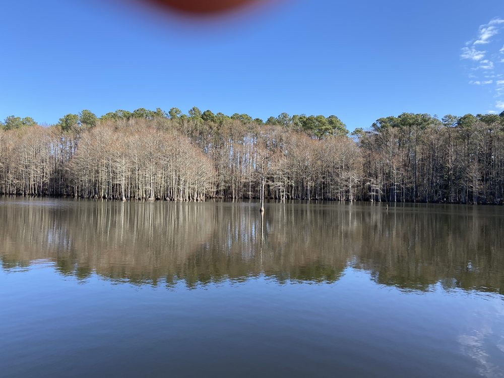 MAZARICK PARK 32 Photos 1400 Belvedere Street, Fayetteville, North