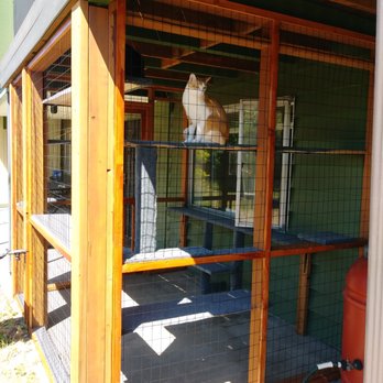 Sea Delta Construction - Custom "catio" built by Dyogo. - Flooring Near Me Sea Delta Construction - Custom "catio" built by Dyogo. - Flooring Near Me