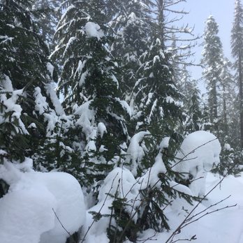 Mt. Spokane Ski & Snowboard Park - Ski Resorts Near Me - Mead, Washington Mt. Spokane Ski & Snowboard Park - Ski Resorts Near Me - Mead, Washington