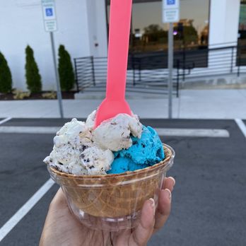 Junior Varsity - Double scoop in a waffle bowl ("Cookies by the Sea" & "Cookie Monster") - Ice Cream & Frozen Yogurt Near Me - Rock Hill, South Carolina