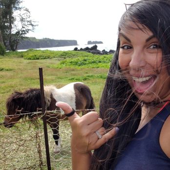 Skyline Hawaii - Road To Hana Mini Horse - Tours Near Me - Kahului, Hawaii