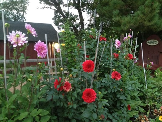 Madden's On Gull Lake by null