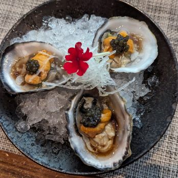 Otoro - Shigoku oysters with uni - Sushi Bars Near Me - Plantation, Florida Otoro - Shigoku oysters with uni - Sushi Bars Near Me - Plantation, Florida
