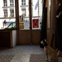 Casablanca - Security watch dog