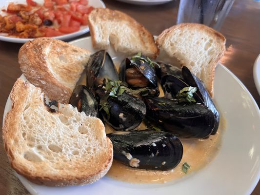 Eclipse di Luna - Alpharetta by null