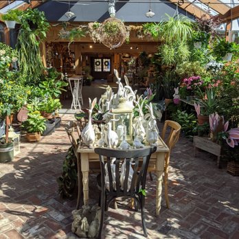 Cafe Fleur - Beautiful, airy, and sunny space - Cafes Near Me - Wayne, Pennsylvania