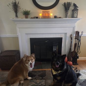 Hazel & Co. Pet Services - Dog Walkers Near Me