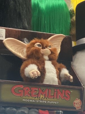 Hollywood Toys & Costumes by null