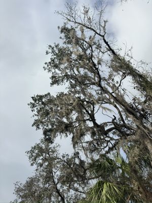 Canoe Outpost-Little Manatee River by null