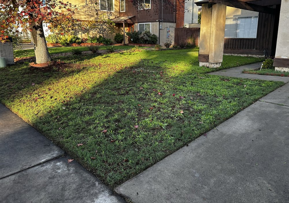 Mayan Environmental and Property Services - tree service in San Diego, CA