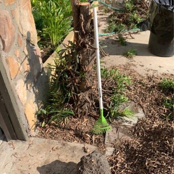 Artistic Tree Services Corp. - Near the garage - Tree Services Near Me