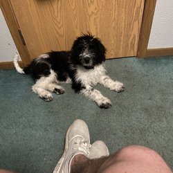 Benny